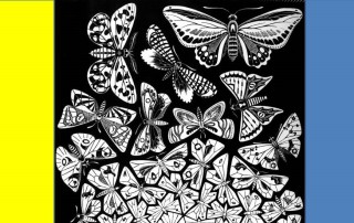 Ucraina-Butterflies