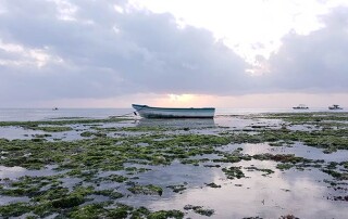 Foto del mare con la bassa marea e una barchetta sullo sfondo