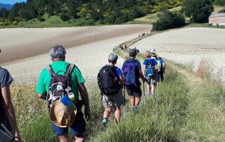 Persone in fila indiana che camminano