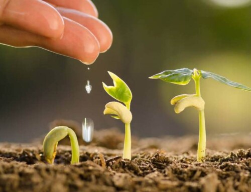 Disegnare mappe di speranza